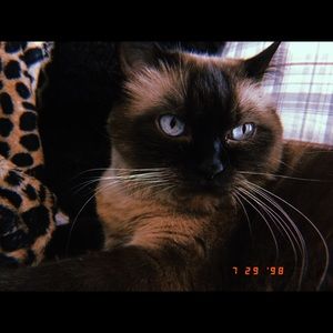 Meet your Posher, Taylor